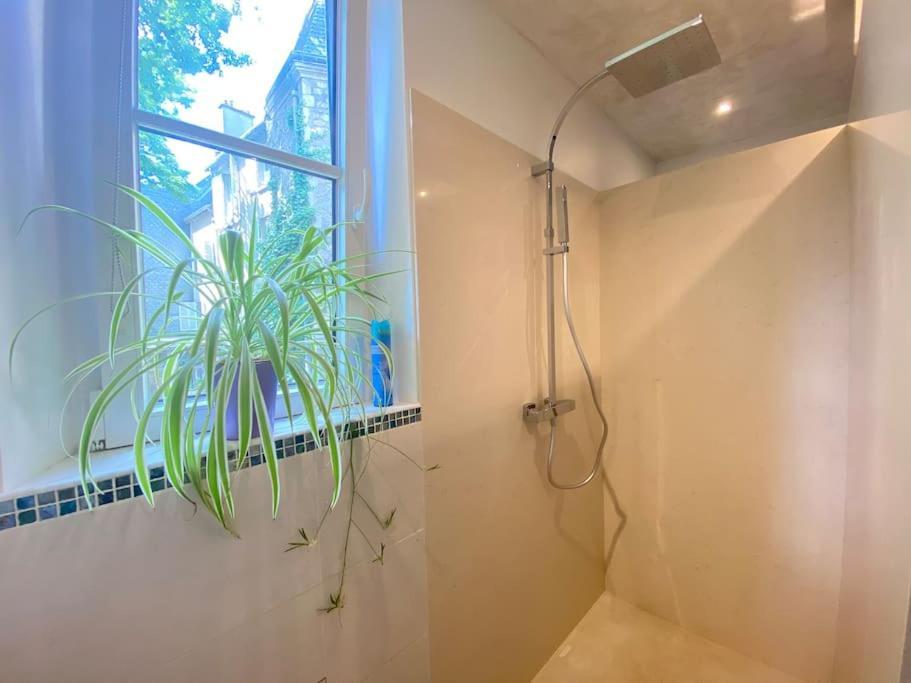Charmant Appartement - Centre Cite Plantagenet!!! 勒芒 外观 照片